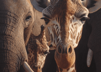 Giraffe and elephants close-up portrait.